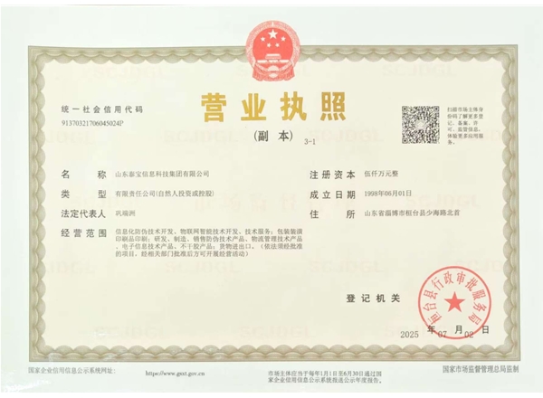 山東泰寶信息科技集團(tuán)有限公司